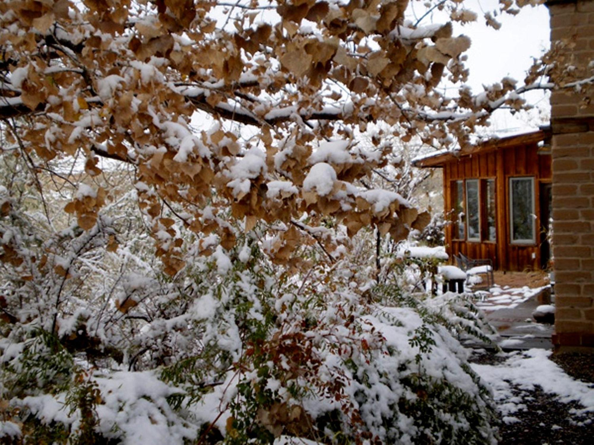 Silver River Adobe Inn Bed&Breakfast Farmington Exterior foto